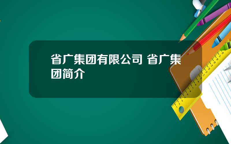 省广集团有限公司 省广集团简介